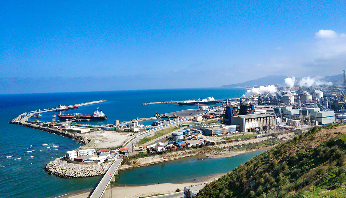 阿爾及利亞斯基克達LNG碼頭工程